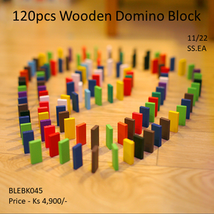 120 pcs Wooden Domino Blocks(BLEBK045)