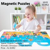 Magnetic Puzzle (BLEET046)