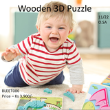 Wooden 3 D puzzle (BLEET086)