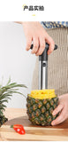 Pineapple Core Cutter (SHKUAC158)